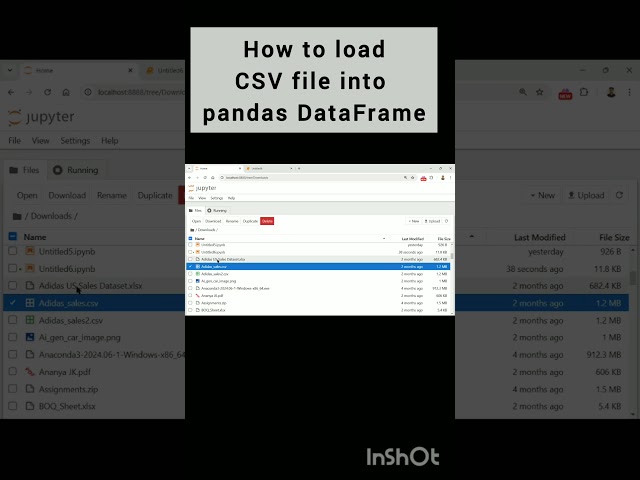"How to Import CSV Files into Pandas DataFrame | Python Made Easy".#python