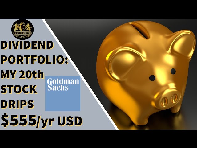 Dividend Portfolio: My 20th Stock Goldman Sachs DRIPs $555/Yr