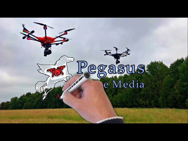 Animated Pegasus Logo Photo Background