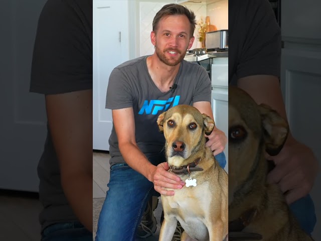 Taking Care of Our Dog!