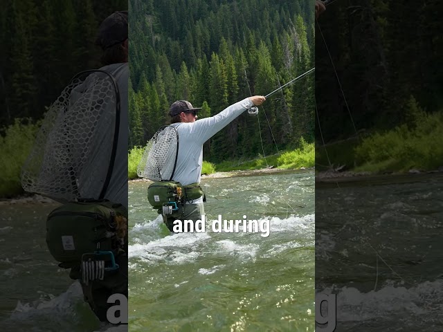 Cheap vs Expensive Fly Rods: The Real Difference