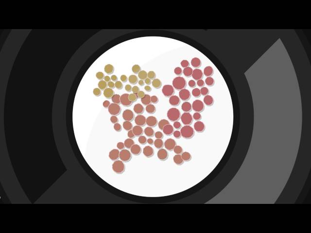 Alltech's Antibiotic-Free Program