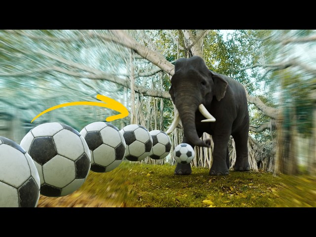 Epic Football Rube Goldberg Machine | Satisfying CGi