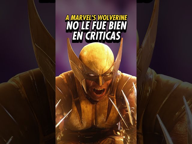 Marvel's Wolverine Review | Level Up