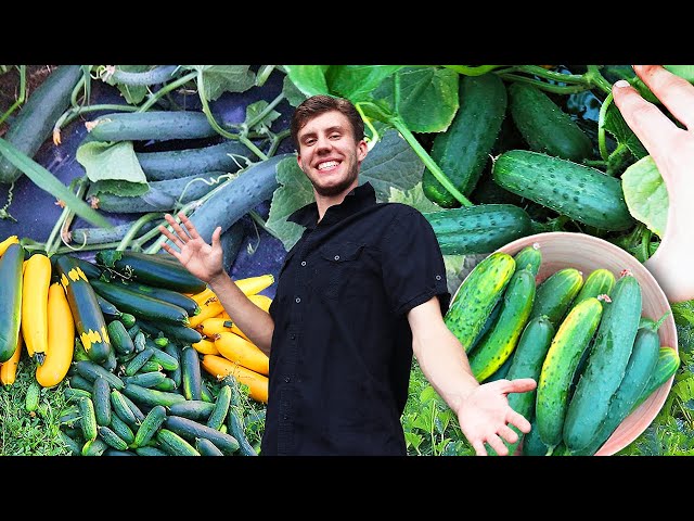 Garden Harvest You Won't Believe