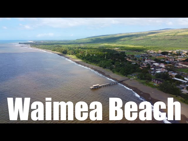 Waimea Beach Virtual Run Kauai Hawaii