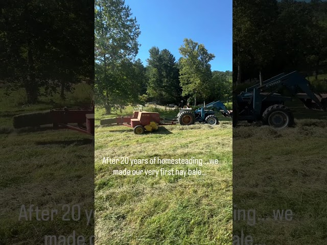 Making hay for the first time