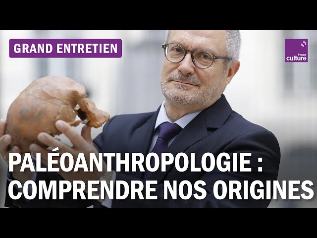 Comprendre nos origines : grande entretien avec le paléoanthropologue Jean-Jacques Hublin