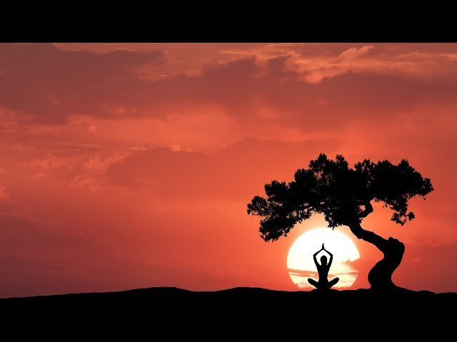 YOGA MUSIC feat. Erhu, Matka & Hang Drum | Indian Music