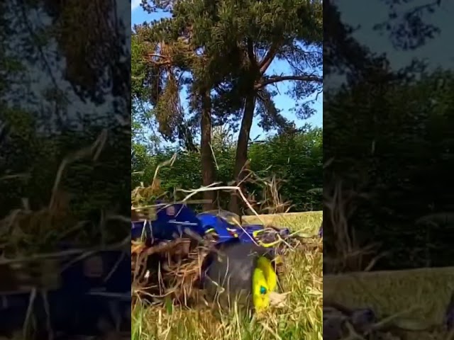 Tamiya Super Avante!