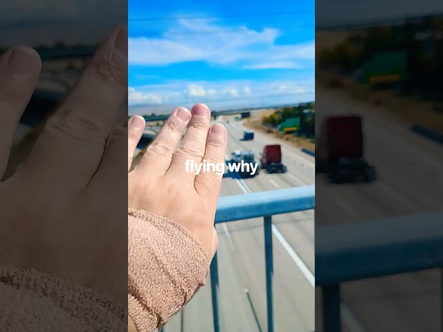 flying why