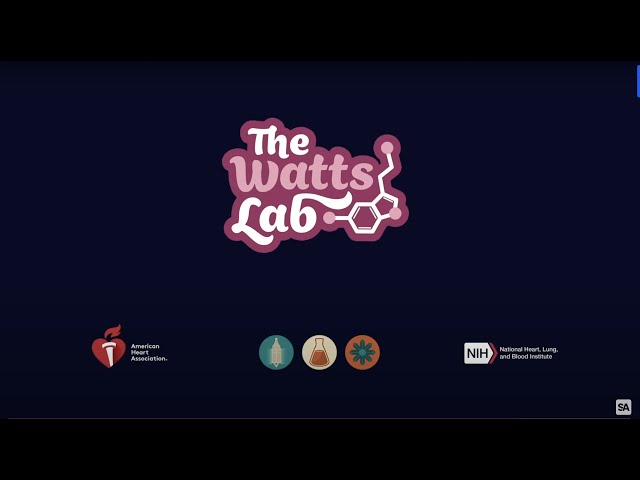 Why do cardiovascular science? Come see for yourself at the Watts lab
