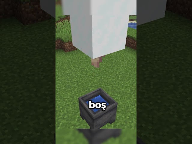 5 TIPS for Minecraft BEGINNERS 💎 ⛏️