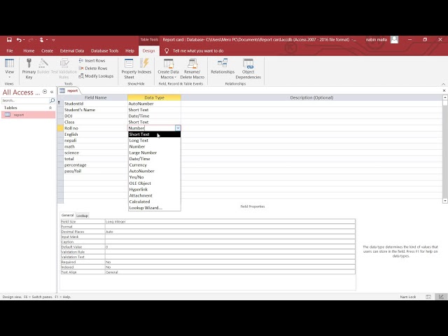Data Type and Field Properties