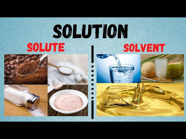 SCIENCE 6  SOLUTION:Solute and Solvent