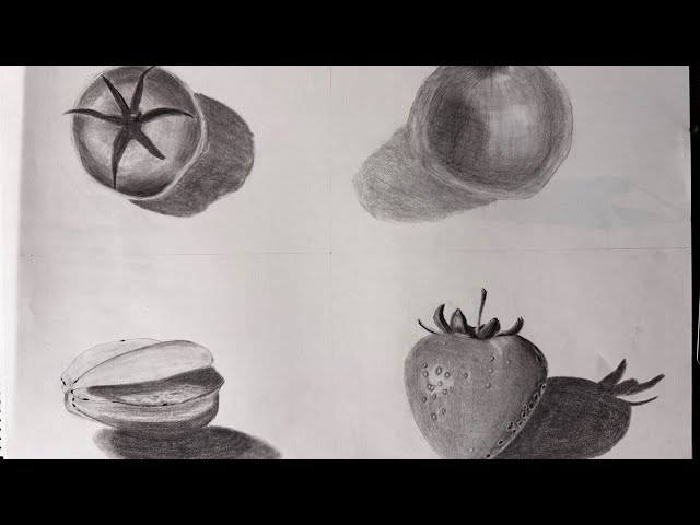 ART-17|Week:3/4 Sketchbook Tour.