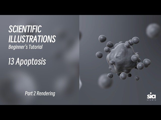 Beginner C4D Tutorial for Scientific Visualization | Rendering Guide | 13 Apoptosis