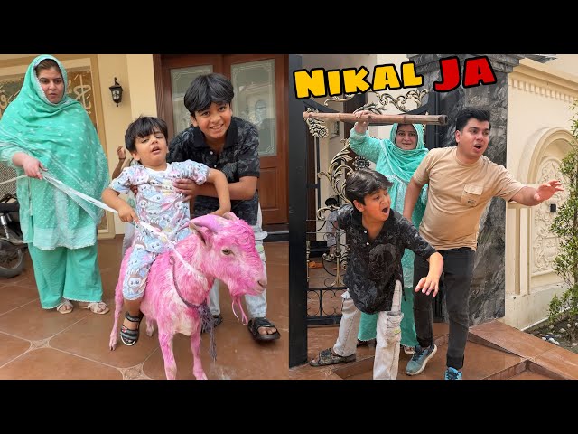 Mami Ny Ghr Sa Nikal Dea 😅 Pink Bakra Pasand Nhi Aya😡