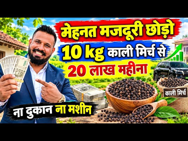मेहनत मजदूरी  छोड़ो 10 kg  काली मिर्च से  