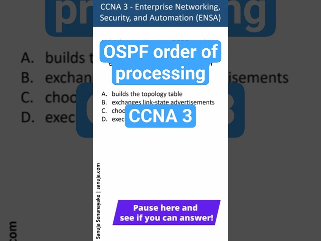 OSPF on a router - CCNA Bite 35