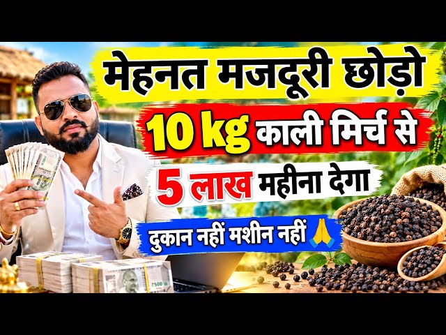 मेहनत मजदूरी छोड़ो 10 kg काली मिर्च से यह बिजनेस करो 
