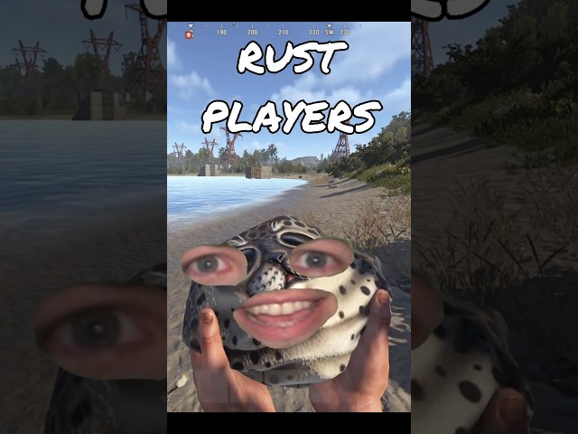 Why are Rust Players Like This?