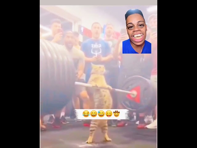 ignore my teeth lol #artificialintelligence #ai #gym