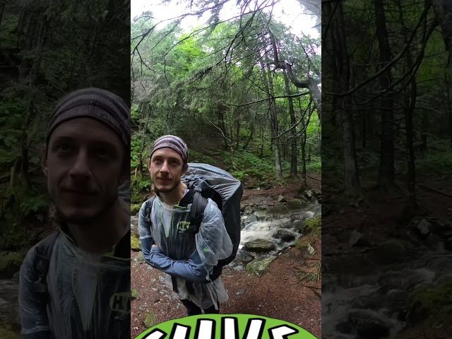 Fundy Trail Day 2 - Short, New Brunswick, Canada (Hike 360° VR Video)