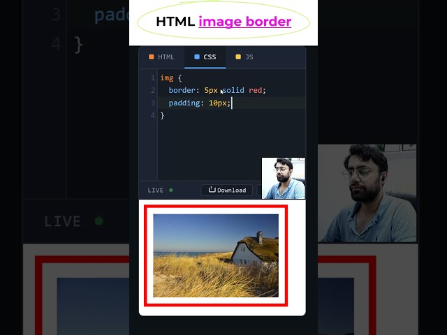 HTML Image Border and Padding Dark #coding #htmltutorial #csstutorial