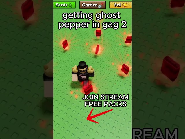GETTING GHOST PEPPER GAG2 #gag2 #ghostpepper #gambling #roblox #funny #giveaway #cool #shorts #fyp
