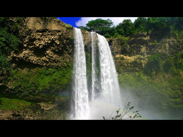 Hawaii Waterfall Sounds White Noise for Sleep, Studying