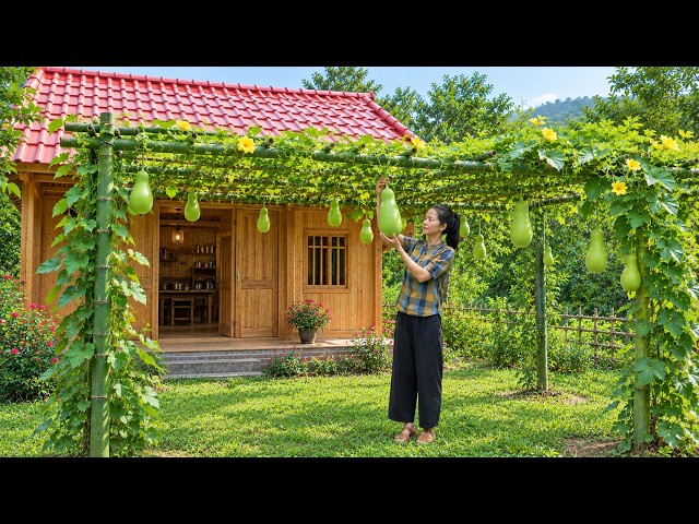 A Single Mother Builds Her Own House, Determined to Build a New Life.