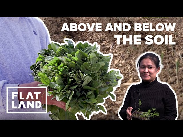 Growing Roots in the KC Food System | Harvesting Change