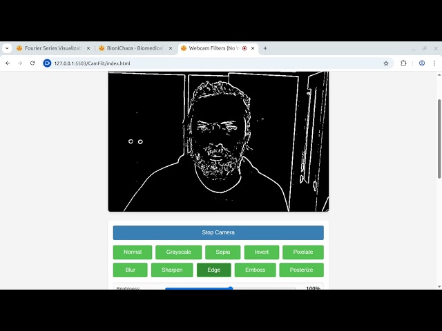 Building & Optimizing Real-Time Webcam Filters with AI (JavaScript Performance)