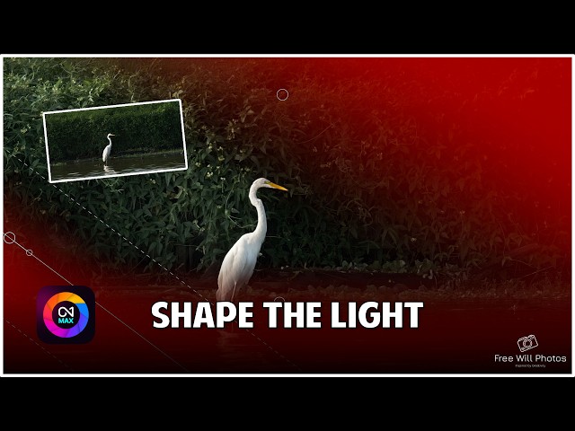 Use Local Adjustments Like This To Improve Your Photos