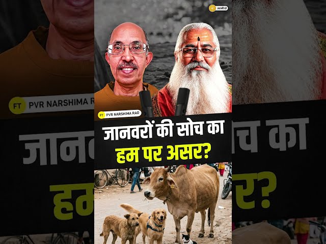 जानवरों की सोच का हम पर असर? || #shorts #swamiyo