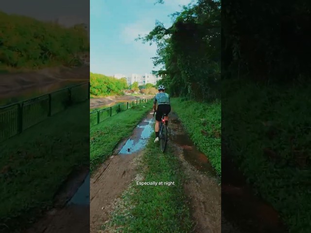 Are these even gravel trails??  #shorts #cycling #gravel