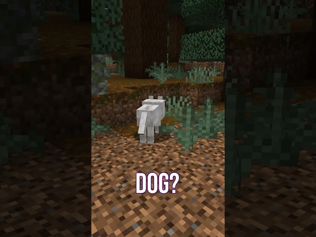 Your First Minecraft Pet