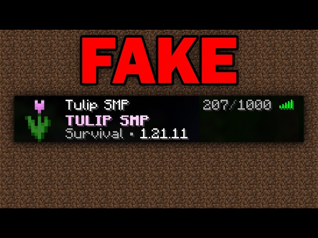 I Made a FAKE Minecraft Server to Prank My Friend...