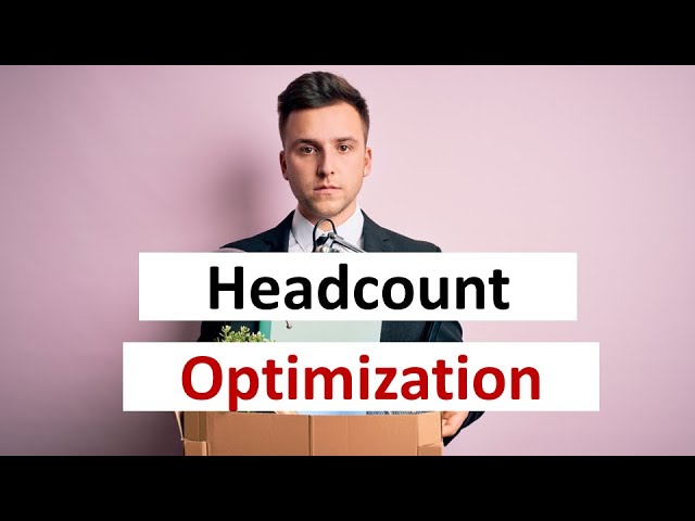 Headcount & Workforce Optimization – the General Framework