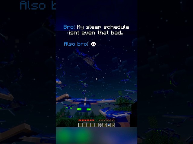 Bros sleep schedule 💀💤 #minecraftmemes #tweening