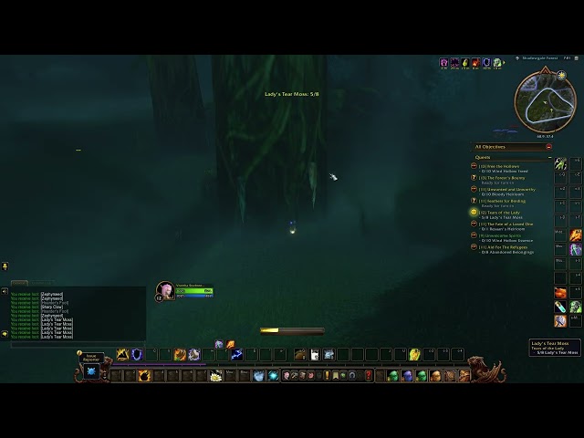 Tears Of The Lady quest guide, how to get Lady's Tear Moss from the trees of Shadowgale Forest