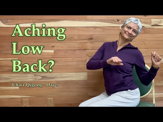 Release Low Back Tension | Chair Qigong Day 5