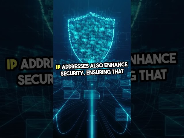 Role of IP Address in Internet Connectivity in 20 Seconds 😱 #networking #internet #ipv4 #ipv6