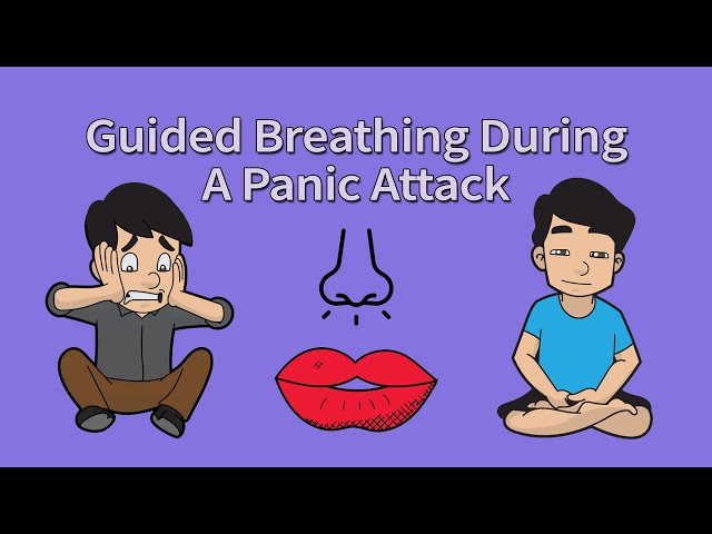 Guided Breathing Exercise/Meditation for Panic Attack Relief