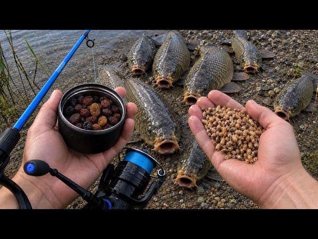 The Secret Bait Recipe They Keep Quiet About: 3 Perfect Steamed Baits!