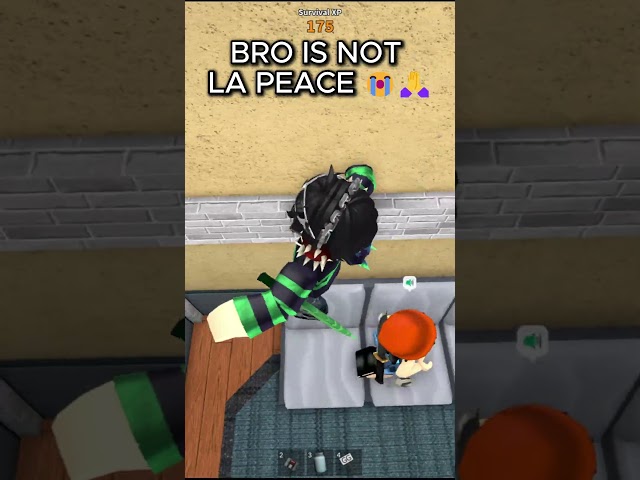 "That's La Peace" 💭