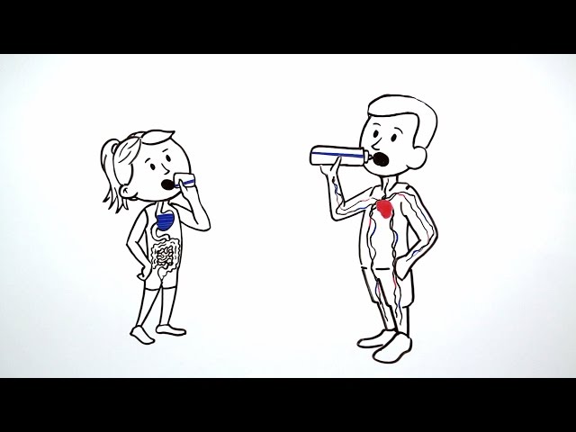 How Beverage Composition Affects Athletic Performance (Gatorade SSI& KSI) Whiteboard Animation