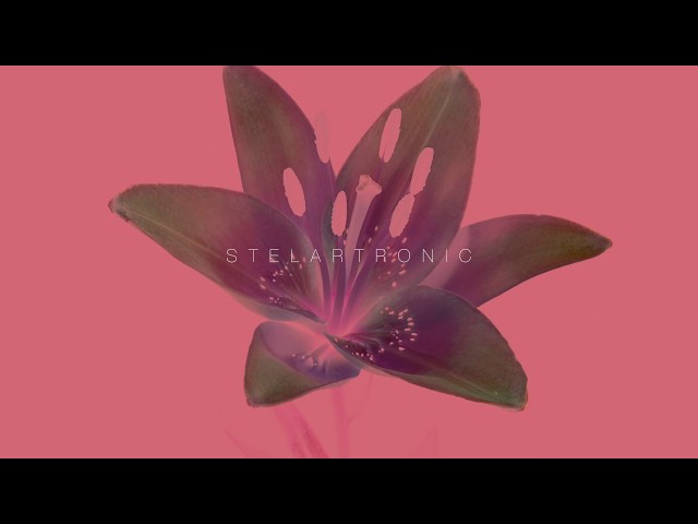 Stelartronic - Love And Hate (Official Video)