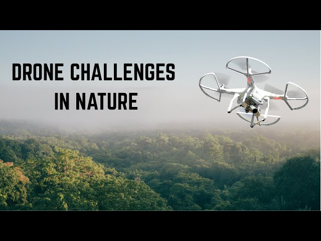 Challenges of Using Drones for Natural Resource Work with Federal Agencies (YDQA EP115)